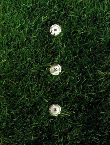 Photograph Steve Nozicka Grass on One Eyeland